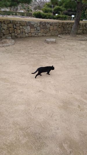 姫路城の主