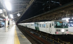 185系　東京駅にて(2018.07.08