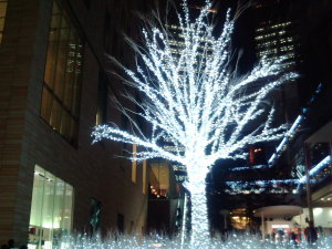 東京都港区の某テレビ局付近の広場にあったクリスマスツリーです。